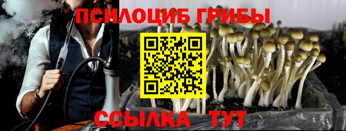 Бийск  где купить   Вход с VPN  Галлюциногенные грибы Magic Shrooms 